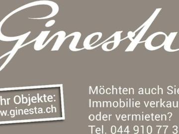 Einfamilienhaus 4.5 Zimmer