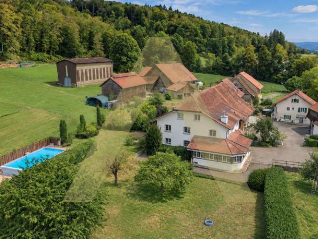 Einfamilienhaus