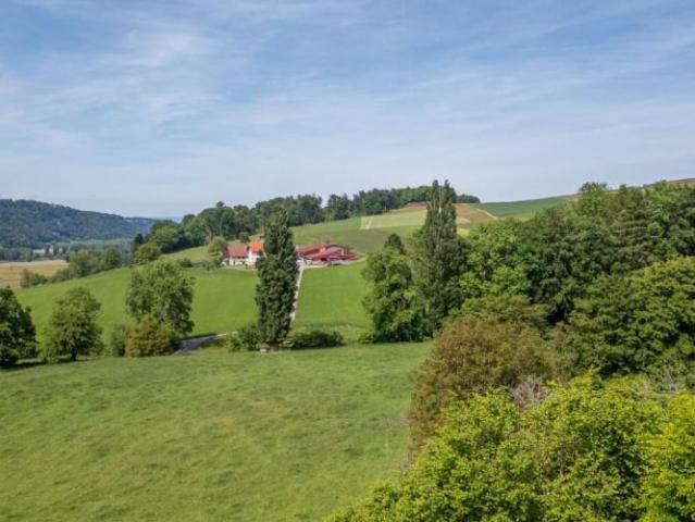 Einfamilienhaus 5.5 Zimmer