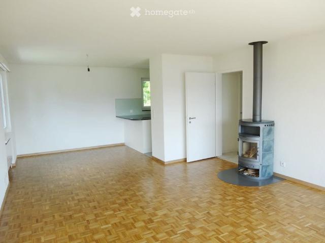 Einfamilienhaus 6 Zimmer Seesicht,traumhaftes Panorama über den Obersee, Linthebene,Berge