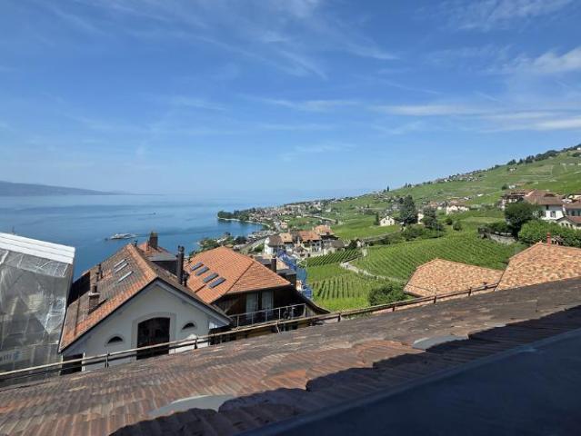 Wunderschönes, komplett renoviertes Winzerhaus mit herrlicher Aussicht