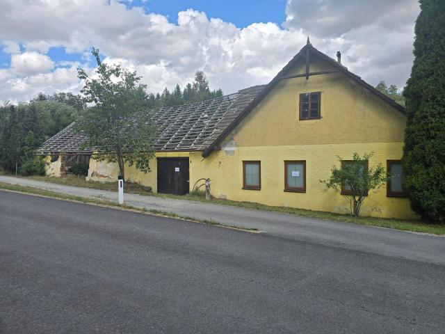 Haus mit 3000 m2 Grundstück angrenzender Bach, Kanal, Glasfaserleitung
