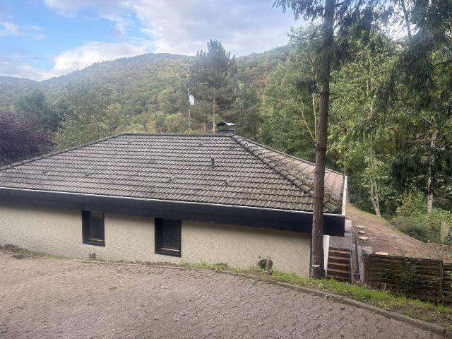 Einfamilienhaus Bad Münstereifel Eicherscheid großes Grundstück in hervorragender Lage