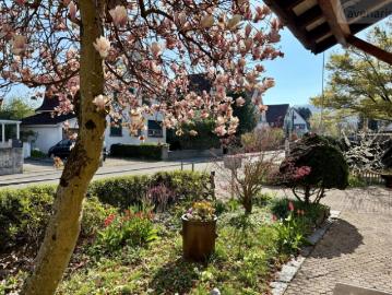 Hinterzweienstrasse, Muttenz, Bezirk Arlesheim, Basel-Landschaft