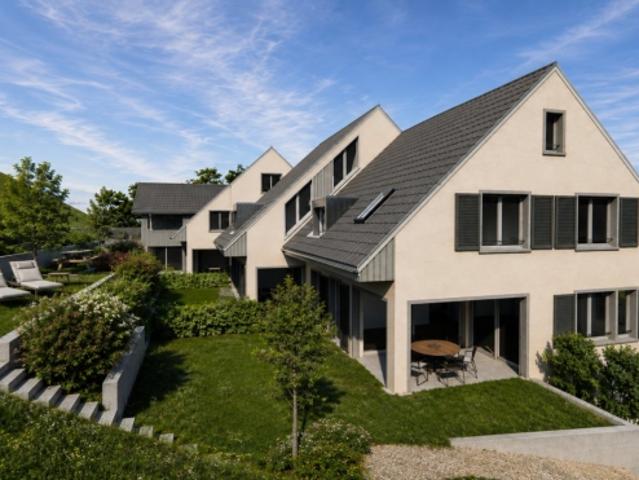 Einfamilienhaus H 03 in Villigen
