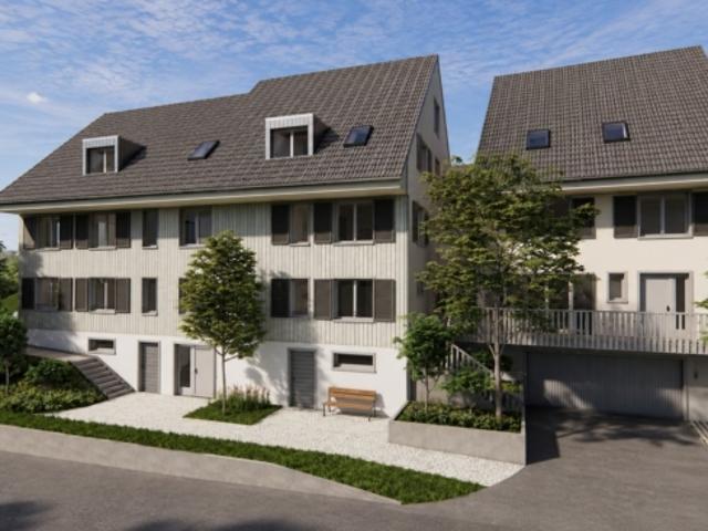 Einfamilienhaus H 02 in Villigen