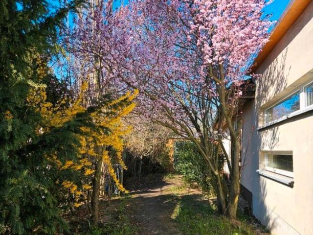 Einfamilienhaus im Bungalow Stil in traumhafter Lage in Lostau