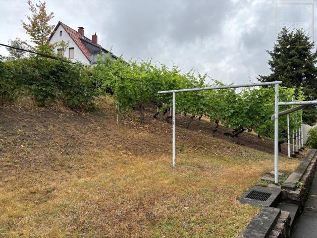 Einfamilienhaus in begehrter Wohnlage mit Weitblick ins Elbtal !