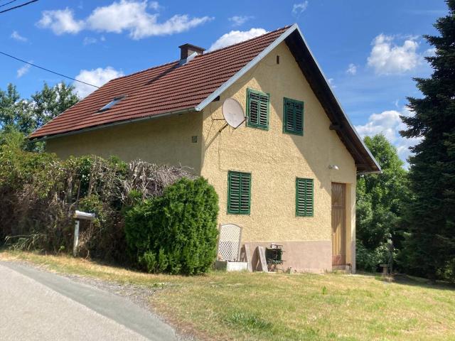Einfamilienhaus in Graz