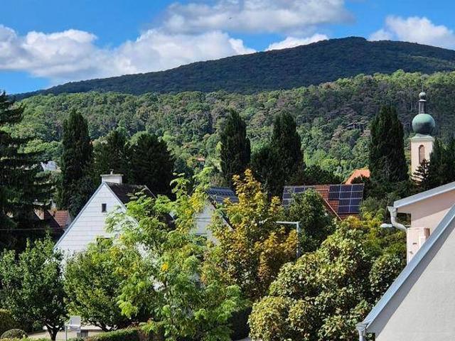 Einfamilienhaus in einzigartiger Badner Lage!