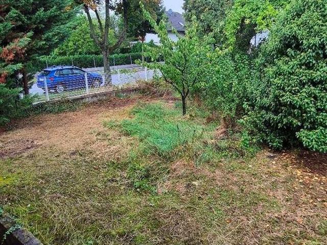 Einfamilienhaus in einzigartiger Badner Lage!