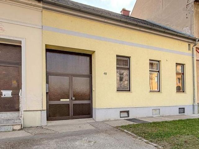 Einfamilienhaus in Schnellbahnnähe
