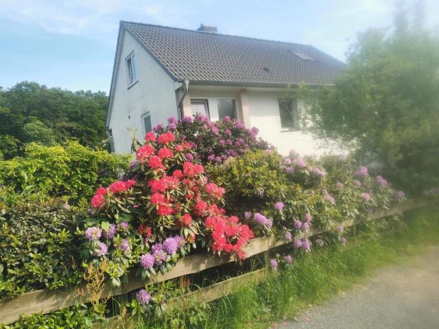 Einfamilienhaus in Top Wohnlage zwischen Köln, Lev. und Wuppertal