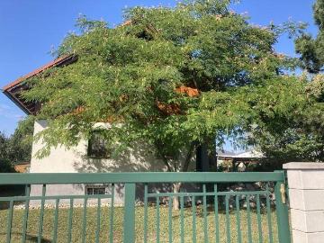 Einfamilienhaus mit ca. 125 m² Wohnfläche + 80 m² Keller