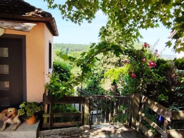 Einfamilienhaus mit großem Garten, Holzofen und Einbauküche in Herrieden
