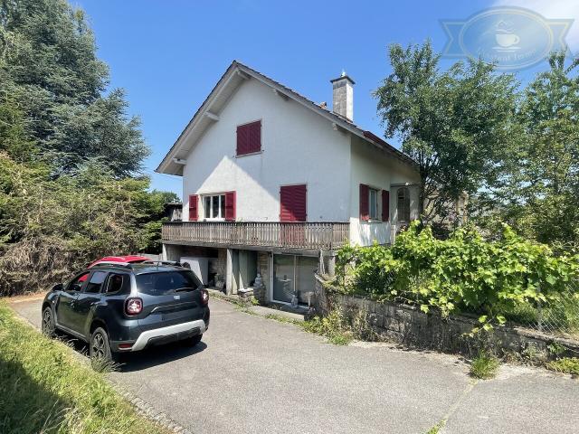 Einfamilienhaus mit grossem Grundstück