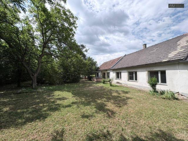 Einfamilienhaus mit großem Grundstück in ruhiger Lage