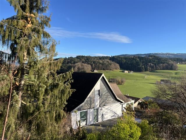 Charmantes Familienhaus