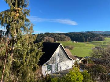 Einfamilienhaus mit großer Werkstatt im Souterrain