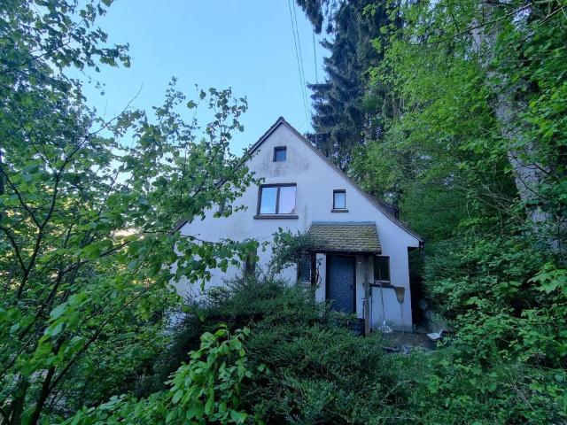 Einfamilienhaus mit Sanierungsbedarf, großem Grundstück in 69250