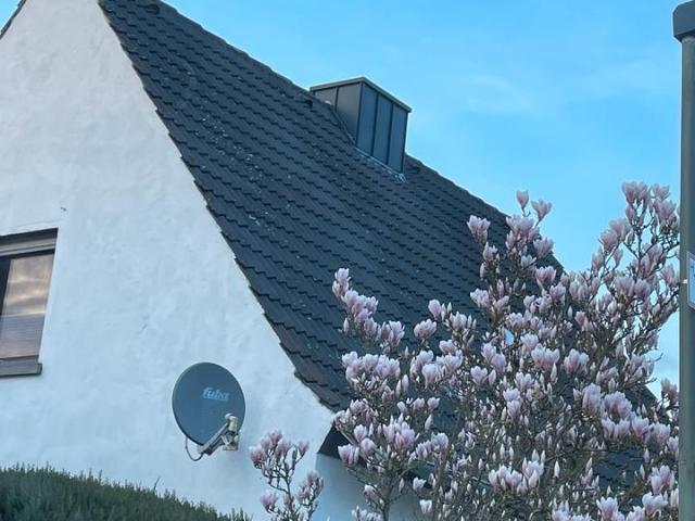 Einfamilienhaus mit sehr großem Garten in Rheine Mesum