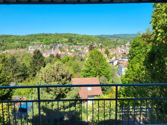 Einfamilienhaus mit unverbaubarem Traumausblick