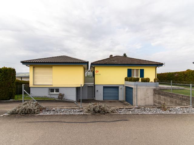 Einfamilienhaus mit Werkstatt + Atelier