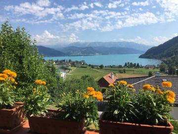 Haus mieten in Oberösterreich - Garten