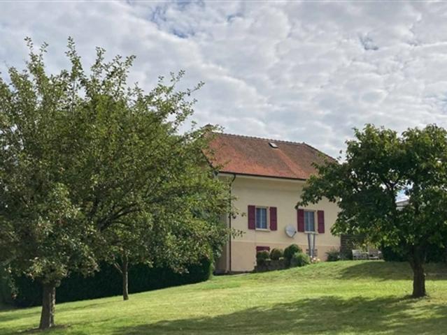 4,5 Zimmer Freihaus mit Reihenhäusern und Garten