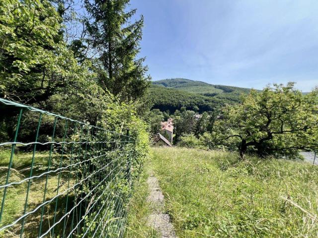 EINFAMILIENHAUS ZUM MODERNISIEREN IN HANGLAGE