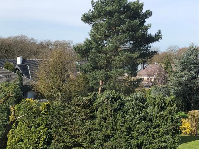 Einfach wohlfühlen in Mülheim an der Ruhr, Mulheim an der Ruhr Amsterdam Apartments for Rent