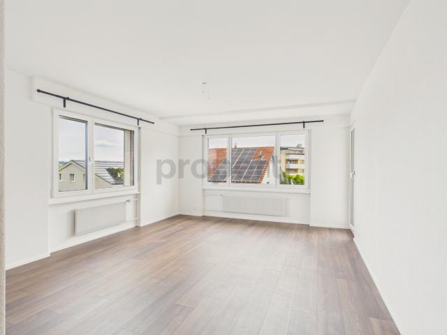 Einmalige Chance mit Seesicht: 4.5 Zimmer Wohnung mit Potenzial in Nottwil