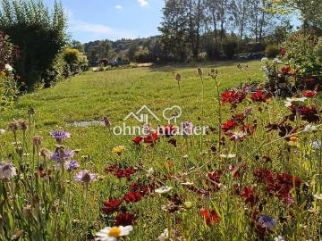 Thierbach, Bad Steben, Saaleland, Saale-Orla-Kreis, Thüringen