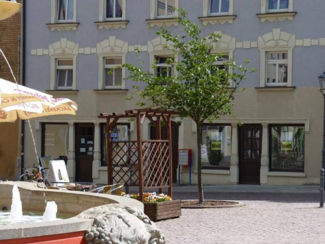 Einraumwohnung im Zentrum von Oschatz bezugsfrei