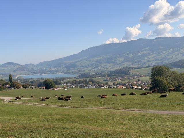 Einstehendes Haus mit Blick auf den See und die Berge