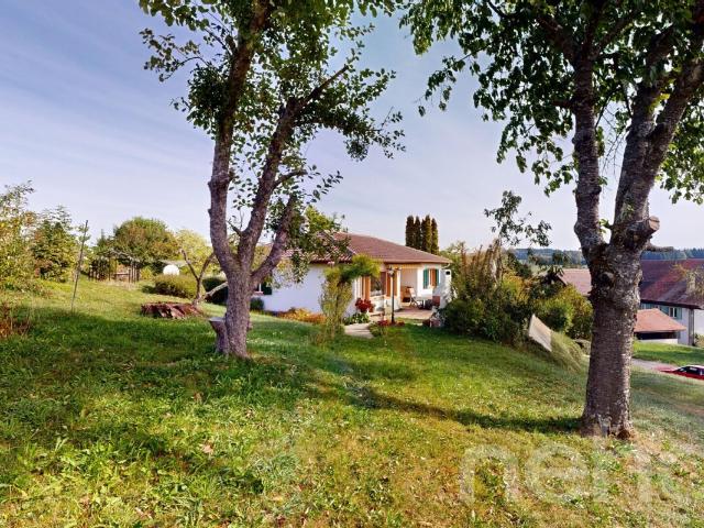 Einstehendes Haus mit großem Garten in Carrouge Vaud