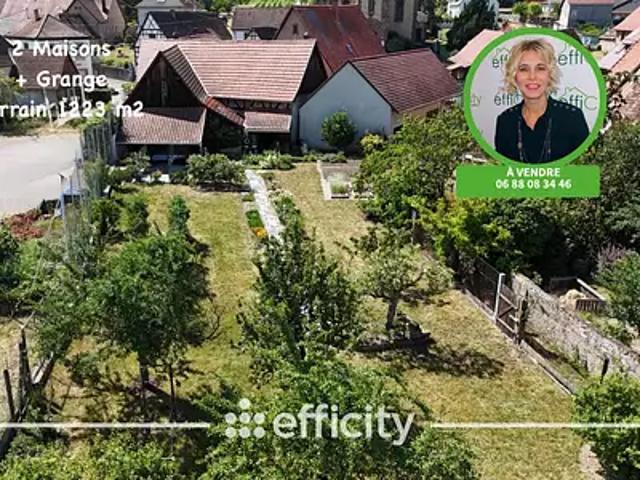 Eichhoffen 67140 Achat / Vente maison 9 pièces t9 jardin terrasse
