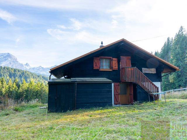 Autonomes Chalet mit Panoramablick – 5 Zimmer in Villars Ollon