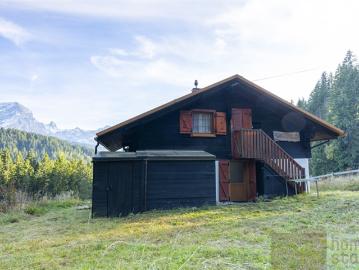 Autonomes Chalet mit Panoramablick – 5 Zimmer in Villars Ollon