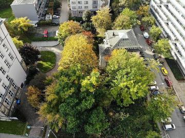 Reichenbachstraße, Dresden, Südvorstadt-Ost