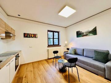 Wohnung kaufen in Bezirk Neunkirchen