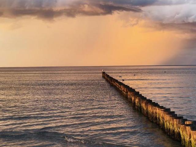 Eigentumswohnung in Zingst direkt am Sandstrand