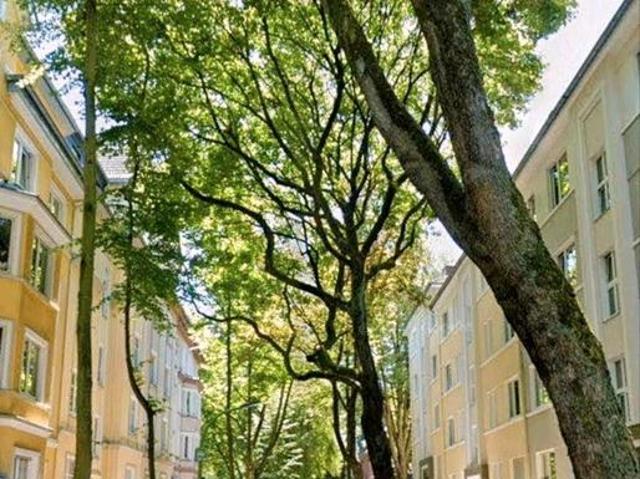 Eigentumswohnung 92 qm, ruhig, Ostpark, frei ab 1.9