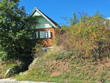 Haus kaufen in Eisenberg an der Pinka