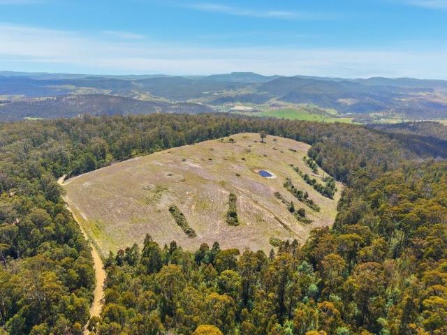 Stunning 46 Acre Lifestyle Opportunity