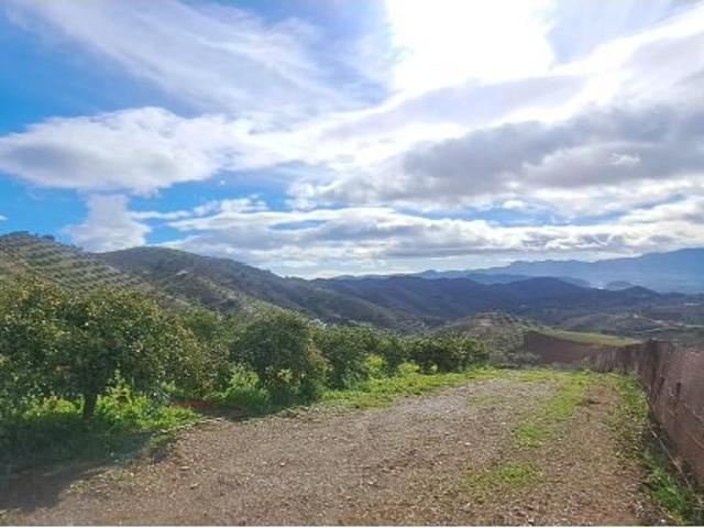 El Balcón de Gibralmora: Finca de 50.000 metros con Agua, Luz y Obra Nueva Legalizada