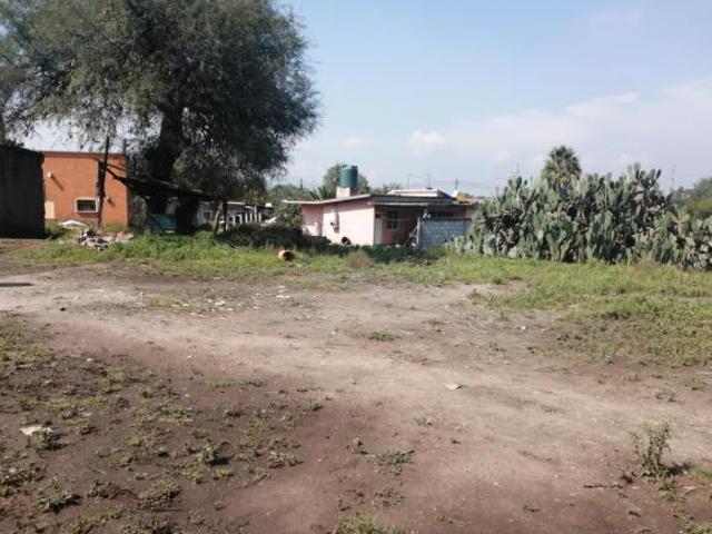 EL DAXTHA, ACTOPAN HIDALGO