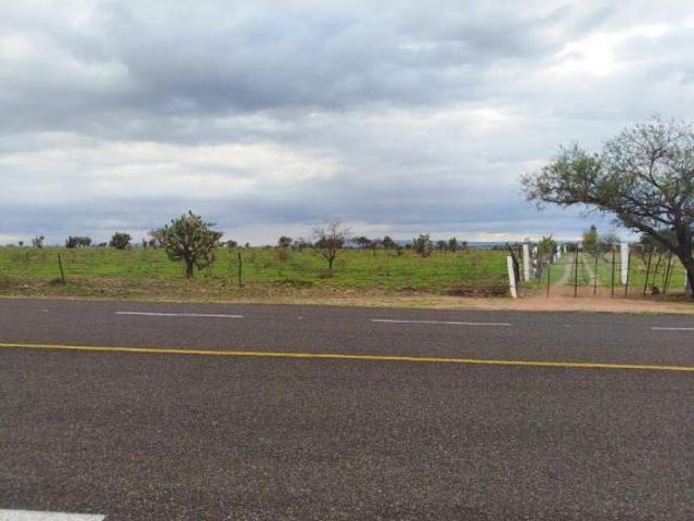 EL MILAGRO TERRENO