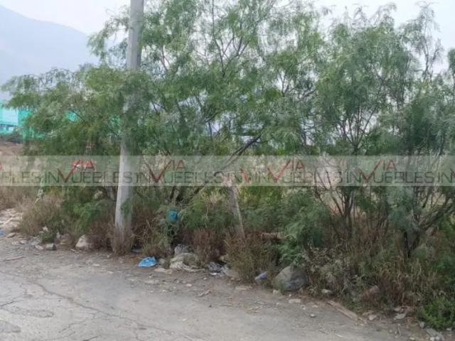 El Obispo
