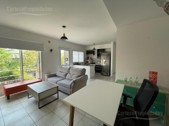 El Palmar, Homes III